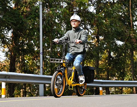 Pedal Assist & Throttle